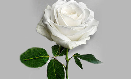 DORIS MARGARET POWERS