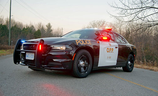 South Bruce OPP report domestic violence incident; and drug seizure