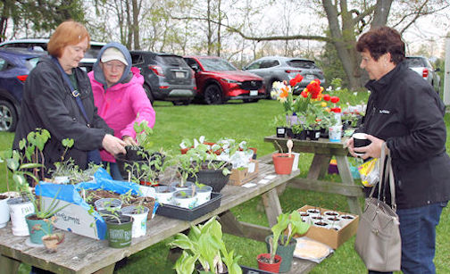 Cool, windy morning for plant, yard, bake and quilt sale in Bervie