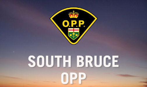 Two pick-up trucks recovered after theft in Walkerton