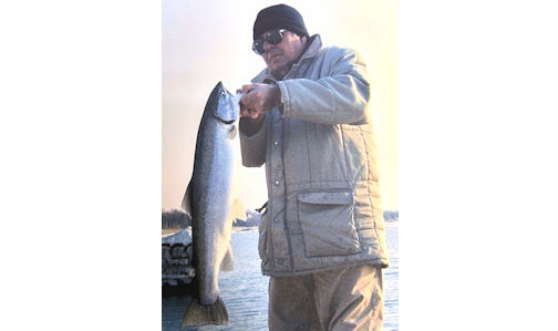 NICKOLAS (NICK) J. TOTH