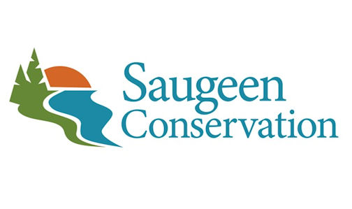​SVCA extends flood watch statement in Saugeen watershed