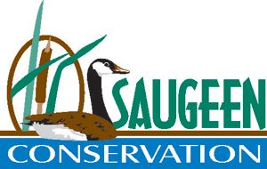 Kincardine councillor elected to executive of Saugeen Conservation